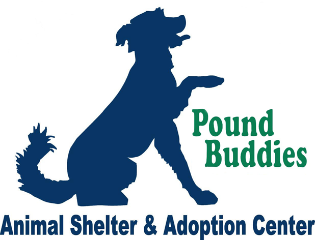 How do you find the local pound and animal shelter?